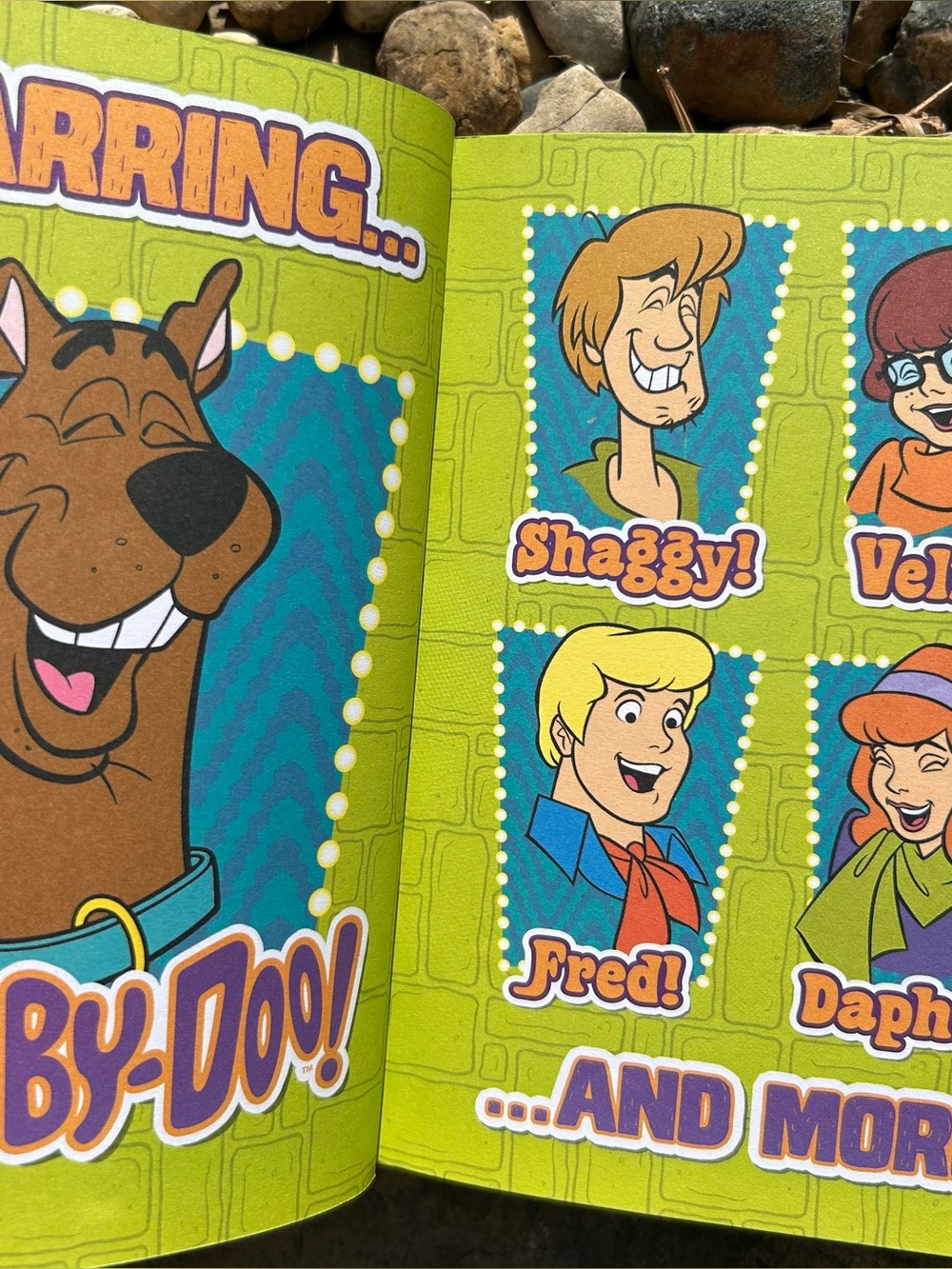 🩶5/$30 Scooby-Doo's Laugh-Out-Loud Jokes! Children’s Joke Book - Picture 5 of 11